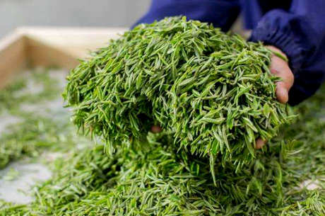 毛尖茶和龙井茶哪个好喝？毛尖味醇厚，龙井味醇厚