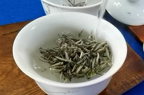 温水能泡茶吗？