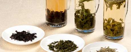 第二天茶还能泡吗？