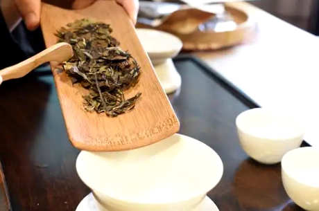如何泡寿眉白茶？