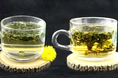蒲公英怎么泡茶？
