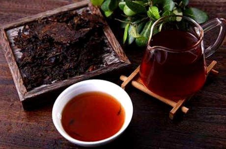 每天喝普洱茶减肥，怎么喝普洱茶减肥最快？