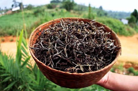 普洱茶10年后能喝吗？普洱茶10年值多少钱？