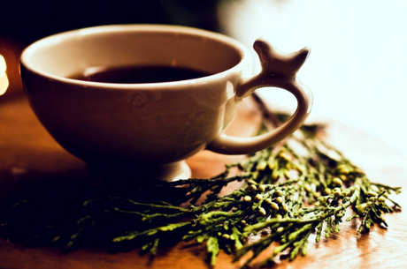 四季青茶怎么泡？