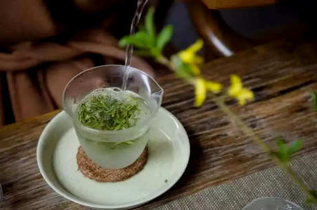 怎样泡竹叶青茶？