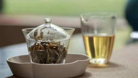 怎样泡银针茶？
