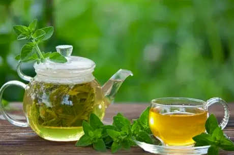 雀舌茶的冲泡方法