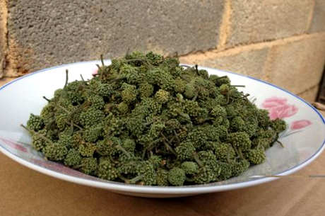 谁不适合喝三七花茶，三七花茶泡水的效果和禁忌？