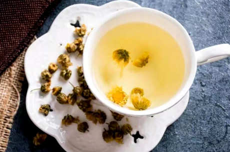 哪种菊花泡茶比较好？