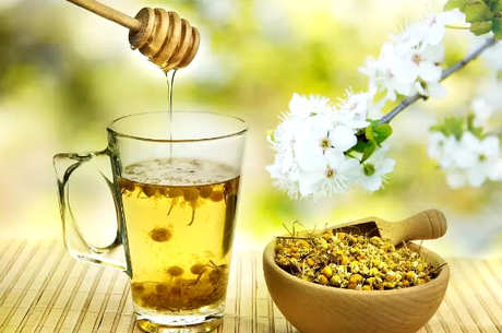 哪种菊花泡茶比较好？