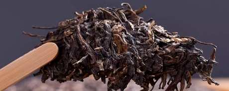 一次泡多少克普洱茶？