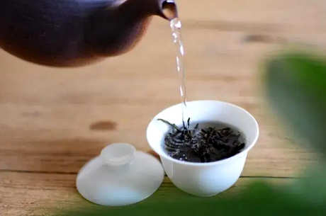 如何冲泡单杉茶？