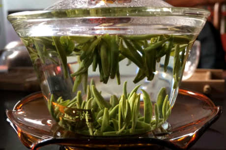 金山翠芽冲泡法